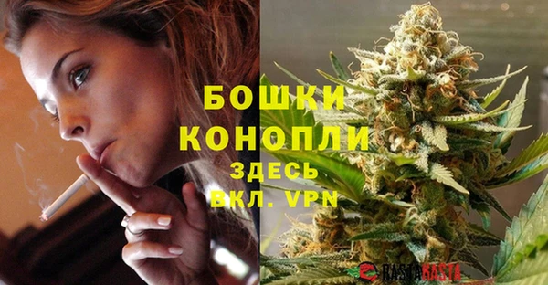 apvp Богданович