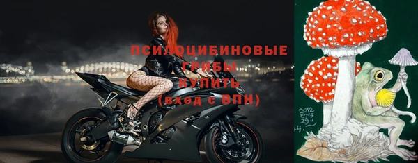 apvp Богданович