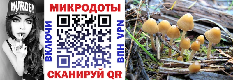Галлюциногенные грибы Psilocybine cubensis  наркота  Энем 